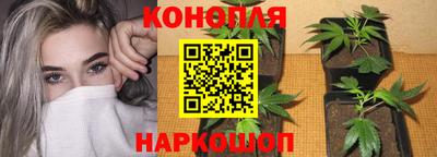 дмт Можайск