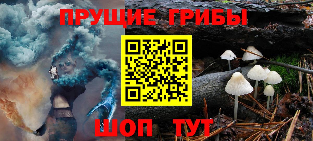 Псилоцибиновые грибы Psilocybe Тольятти