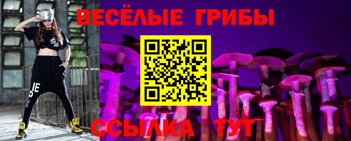 Тольятти  Галлюциногенные грибы мухоморы  Вход с VPN 