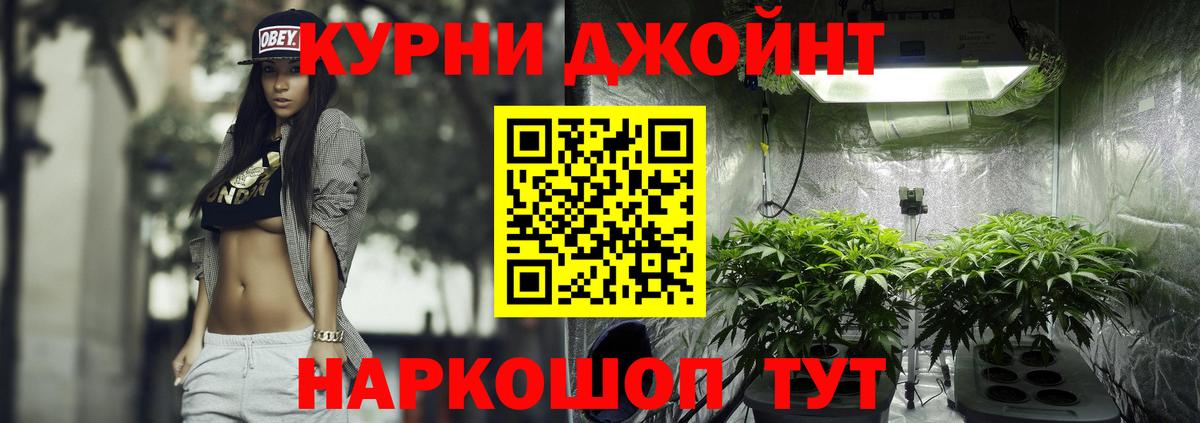Канабис OG Kush Тольятти